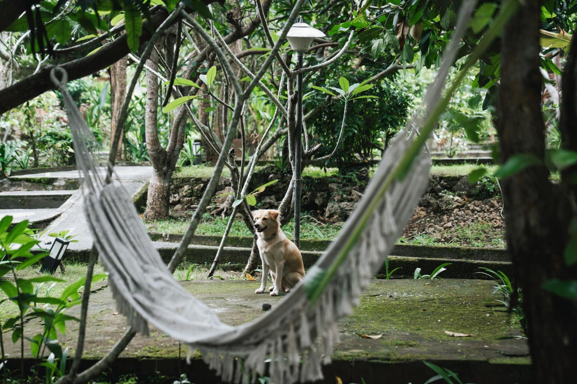 Olo Surf Nature Uluwatu  Exterior photo